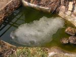Zima odchodzi,<br>lecz nadchodzą<br>konieczne prace<br>pielęgnacyjne